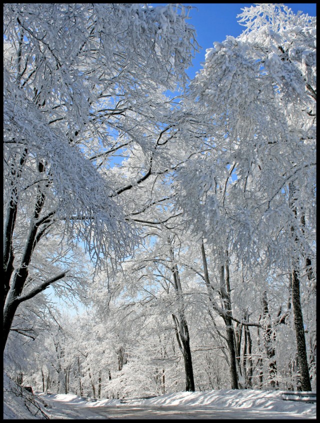 magical winter road