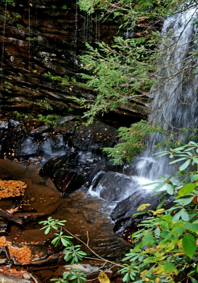 Upper Hills Creek Falls