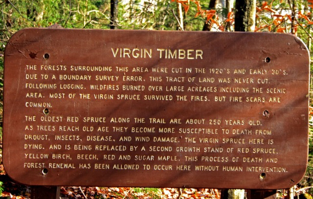 Virgin Timber sign