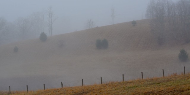 Hill in morning mist