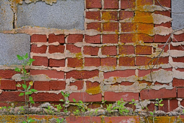 Bricks and cinderblock