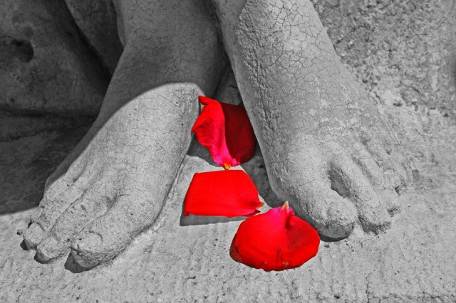 Rose petals and bare feet