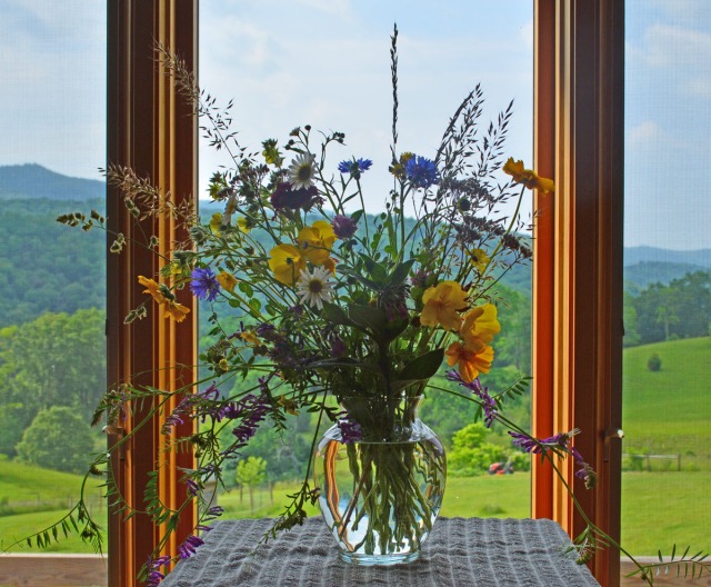 wildflowers in vase