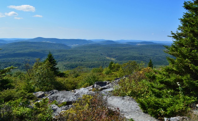 View from Spruce Knob