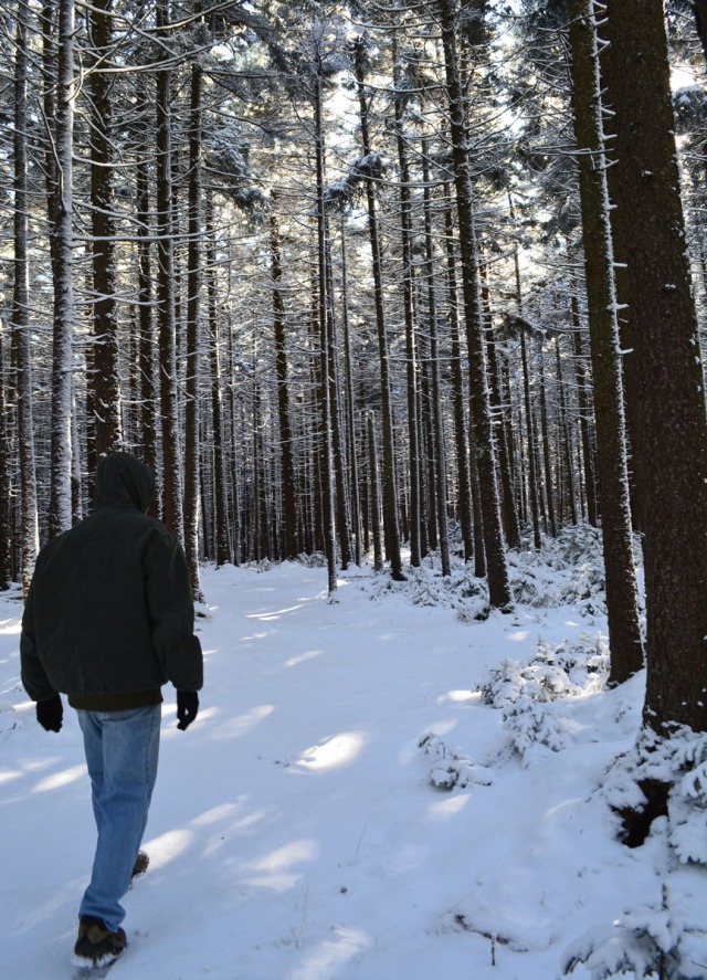 man in winter woods