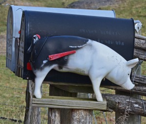 piggy mailbox